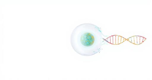 Адъювантная терапия