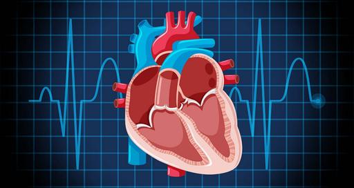 Кардиохирургия