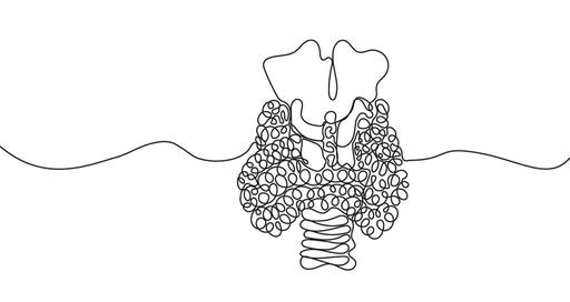Лимфаденэктомия
