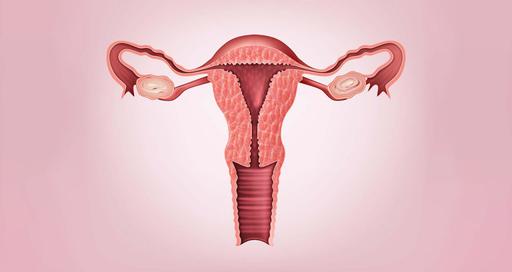 Пангистерэктомия