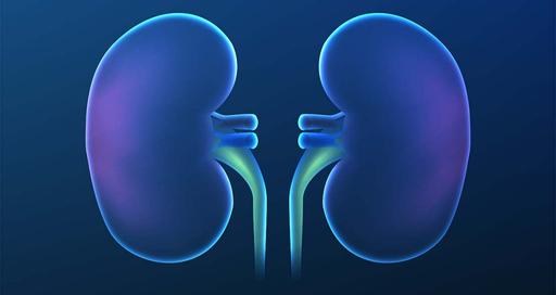 Пластика ЛМС