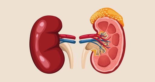 Резекция почки